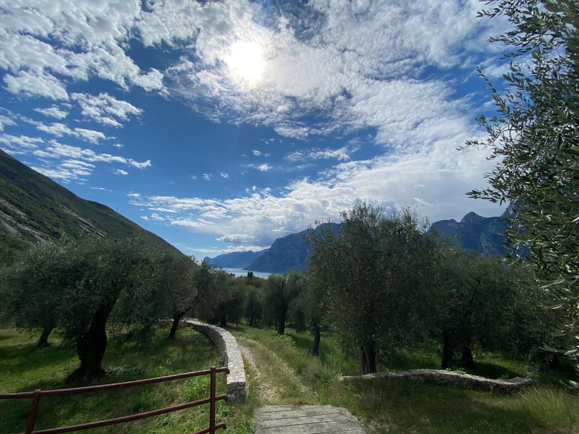 Garda Baldo Apartments Torbole Sul Garda Zewnętrze zdjęcie